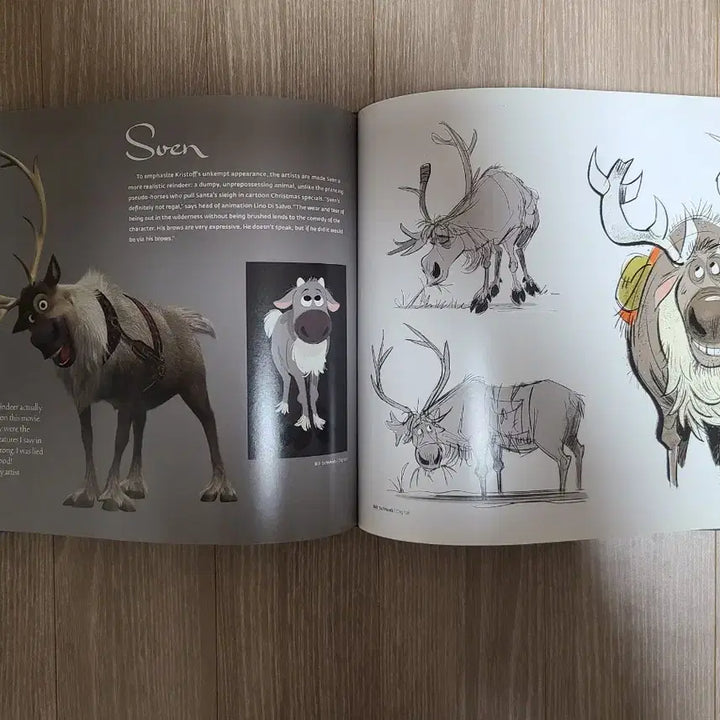 [BUNJANG] Disney Frozen Concept Artbook / 디즈니 겨울왕국 컨셉 일러스트 아트북