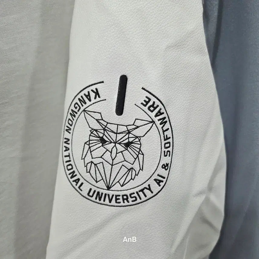 [BUNJANG] Kangwon National University AI Software Department Varsity Jacket - Sky Blue &amp; White / 강원대학교(강원대) AI소프트웨어학과 과잠/학잠 - 스카이블루&amp;화이트