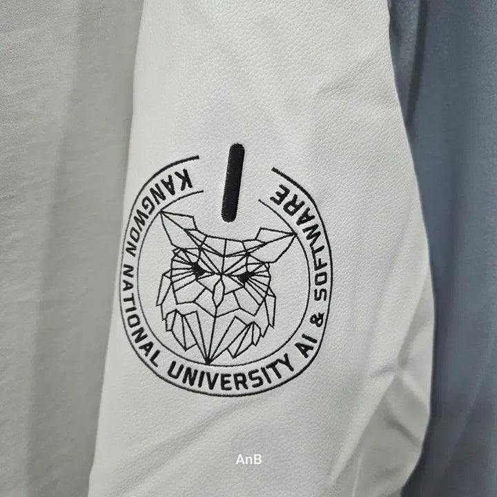 [BUNJANG] Kangwon National University AI Software Department Varsity Jacket - Sky Blue &amp; White / 강원대학교(강원대) AI소프트웨어학과 과잠/학잠 - 스카이블루&amp;화이트
