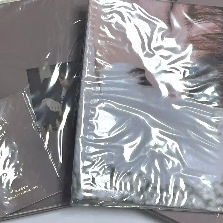 [BUNJANG] Infinite Sungkyu Sungkyu City Kit / 인피니트 성규 성규특별시 키트