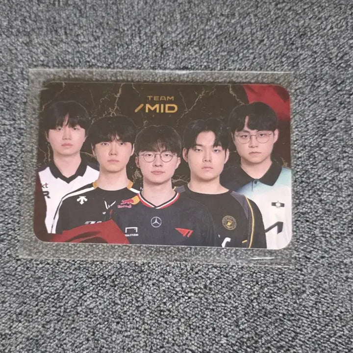 [BUNJANG] LCK Team MID Photocard Set / 2025 LCK 시즌오프닝 팀미드 포카 포토카드 한정 녹서스로의 초대