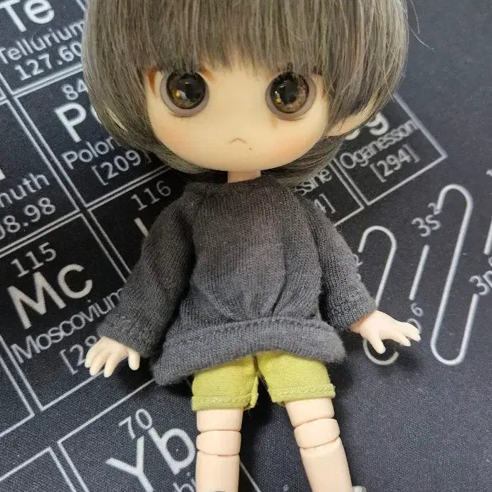 [BUNJANG] Lemon Head Obitsu Body Doll Set / 레몬 헤드+ 오비츠 바디
