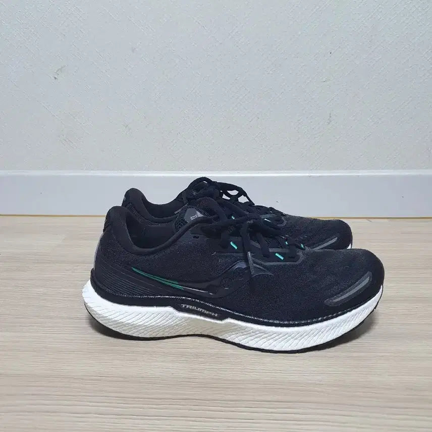 [BUNJANG] Saucony Triumph Running Shoes (Size 280) / 써코니 트라이엄프 러닝화 280