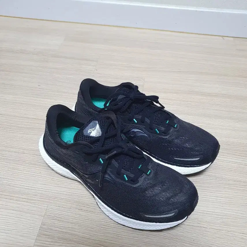 [BUNJANG] Saucony Triumph Running Shoes (Size 280) / 써코니 트라이엄프 러닝화 280