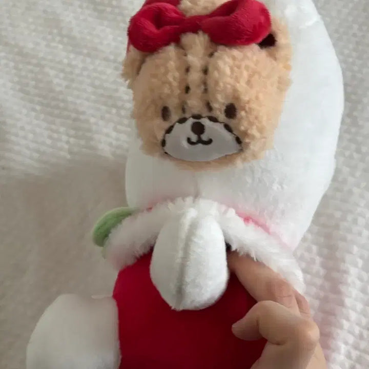 [BUNJANG] Hello Kitty Winter Friends Plush Doll / 헬로키티