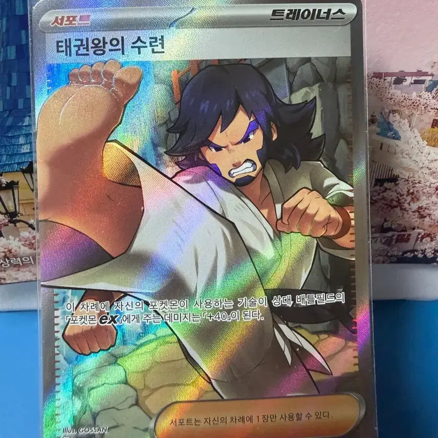 [BUNJANG] Pokemon Card Taekwondo Master&
