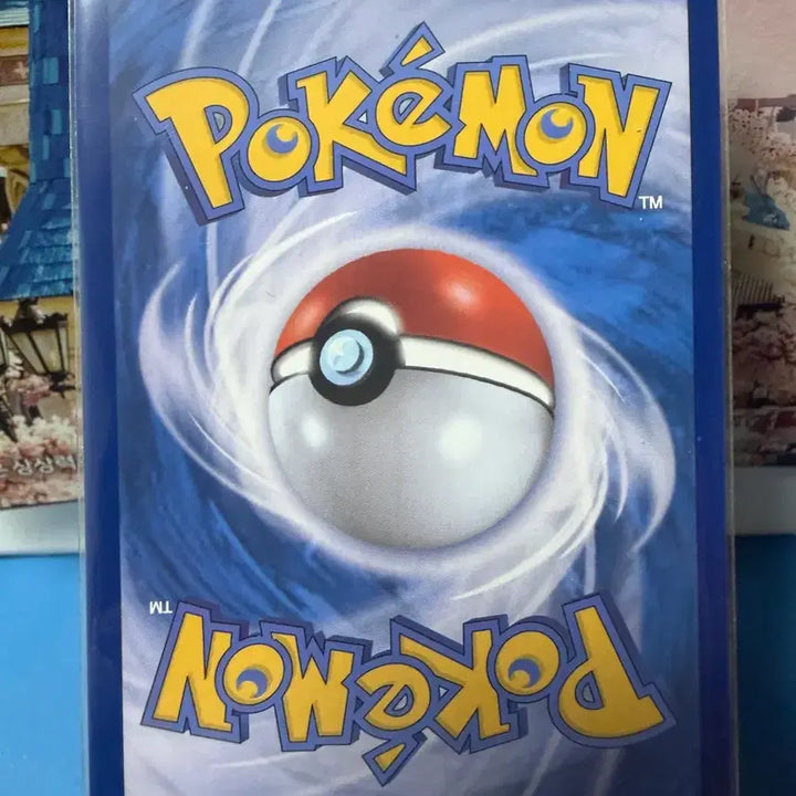 [BUNJANG] Pokemon Card Taekwondo Master&