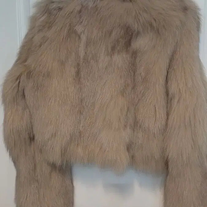 [BUNJANG] Hong Kong Short Jacket - 55 Size - Faux Fur / (새) 홍콩 숏 자켓 55 반가슴 50 길이 50 플스킨