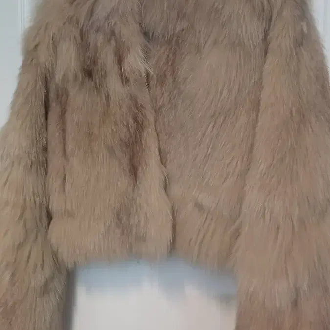 [BUNJANG] Hong Kong Short Jacket - 55 Size - Faux Fur / (새) 홍콩 숏 자켓 55 반가슴 50 길이 50 플스킨