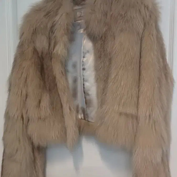 [BUNJANG] Hong Kong Short Jacket - 55 Size - Faux Fur / (새) 홍콩 숏 자켓 55 반가슴 50 길이 50 플스킨