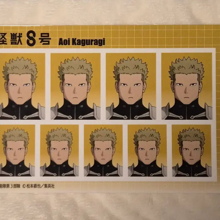 [BUNJANG] Kaiju No. 8 Photo / 괴수 8호 증명사진