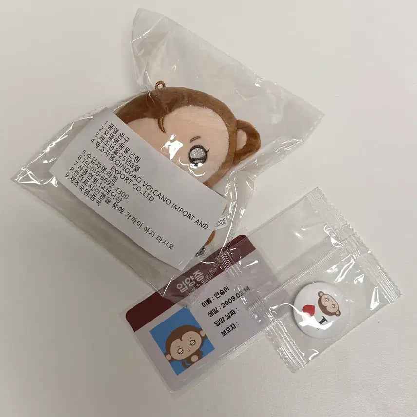 코르티스 건호 인형 안숭이 양도