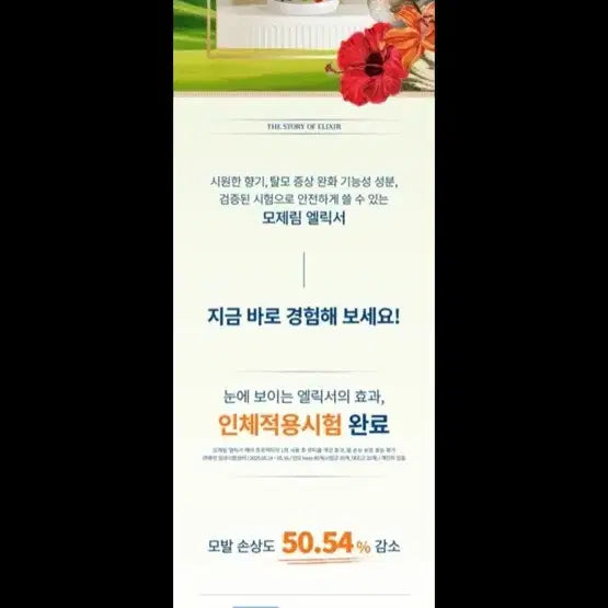 [BUNJANG] MOLIBE Elixir Hair Protector 100ml / 모제림 엘릭서 헤어 프로텍터 100ml