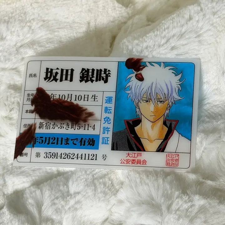 [BUNJANG] Gintoki Sakata Driver's License Photocard / 은혼 긴토키 운전면허 증 카드 클카 명함 원서 부록 해결사 포카
