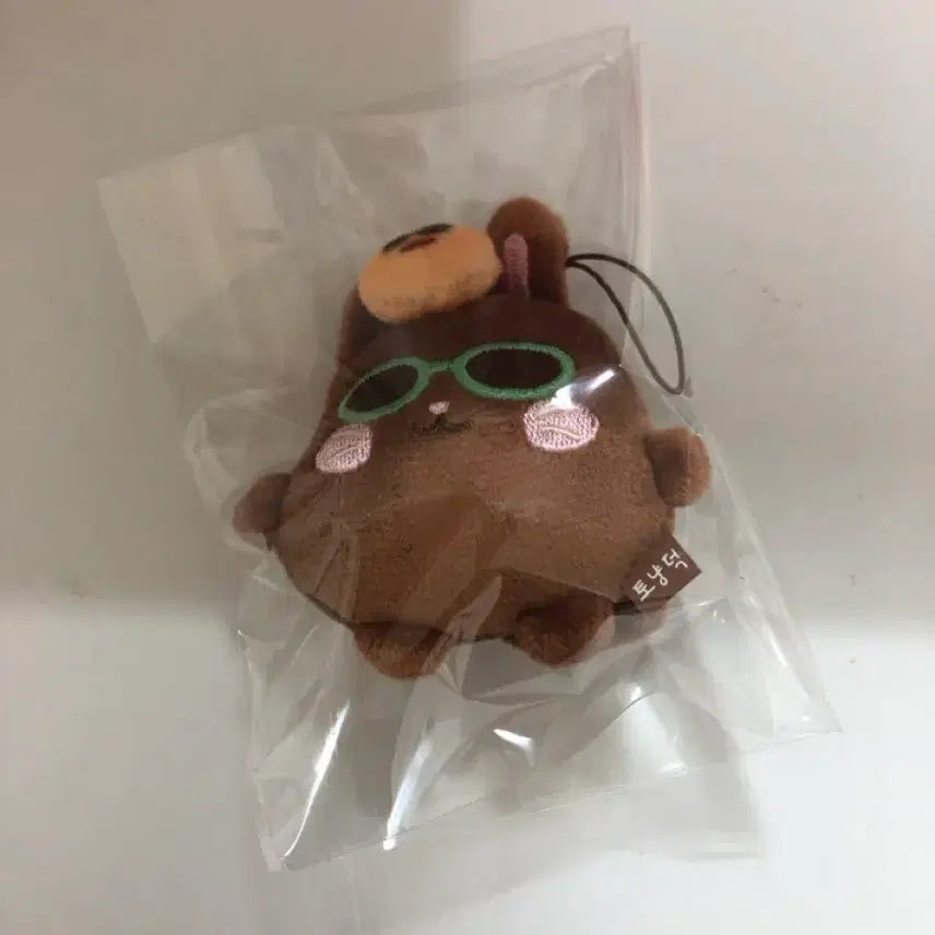 [BUNJANG] RIIZE Wonbin Tanning Tonyan Duck Doll / 라이즈 원빈 태닝 토냥덕 인형 판매합니다