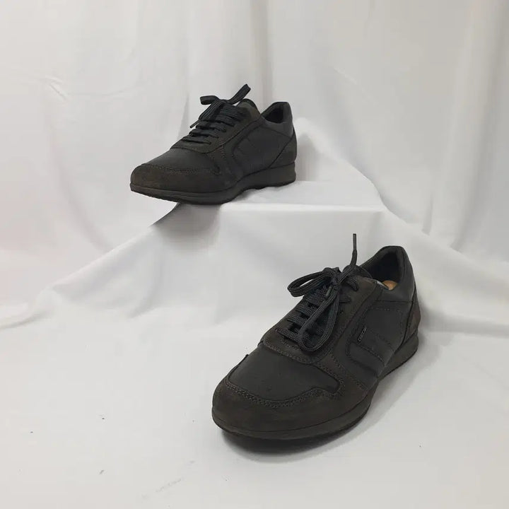 [BUNJANG] Geox Avery Dark Gray Sneakers (UK 6.5/255) / 빈티지하서 UK6.5/255 제옥스 에이버리 다크 그레이 스니커즈