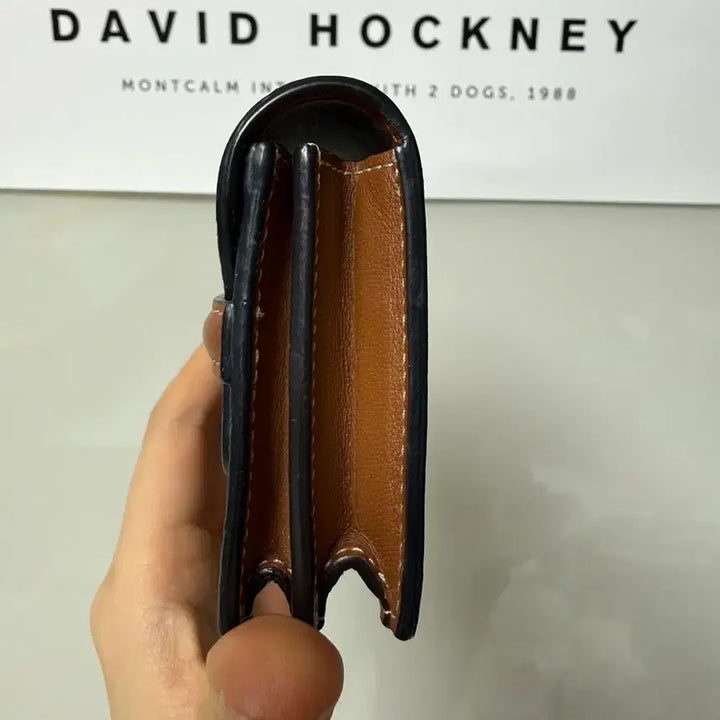 [BUNJANG] Celine Triomphe Card Wallet Brown / 셀린느 트리옹프 카드지갑 브라운