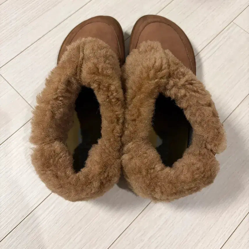 [BUNJANG] Camper Suede & Shearling Boots / 캠퍼 스웨이드&양털부츠 38 (240)