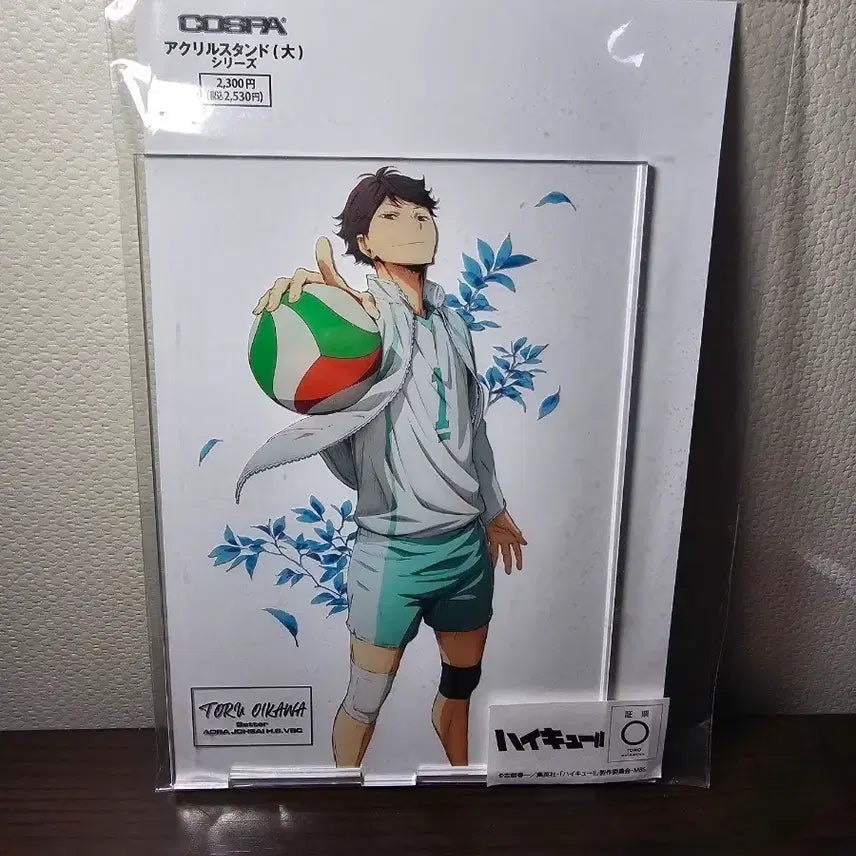 [BUNJANG] Haikyuu Oikawa Acrylic Stand / 하이큐 오이카와 아크릴 스탠드 새상품