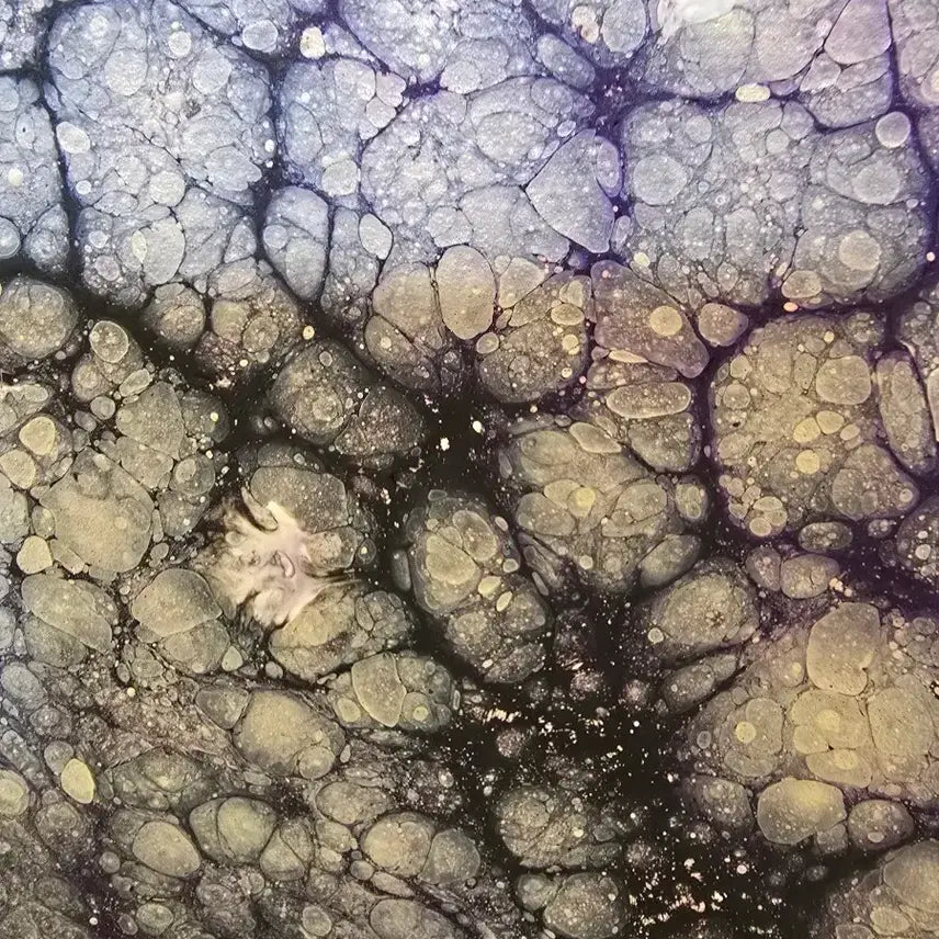 [BUNJANG] Yohahn Diko Cosmos 34910a Painting / 한요한 작가 50호 서양화 그림