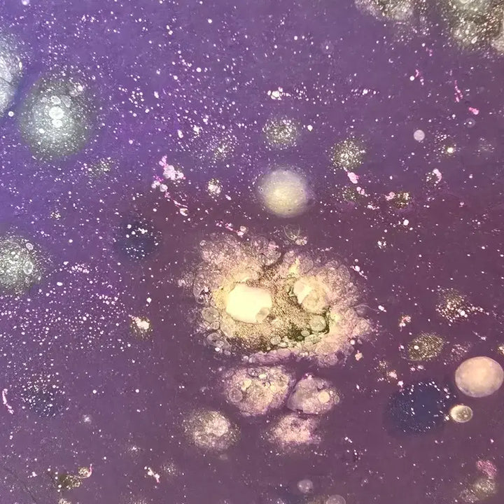 [BUNJANG] Yohahn Diko Cosmos 34910a Painting / 한요한 작가 50호 서양화 그림