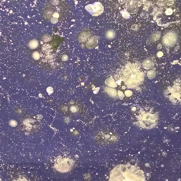 [BUNJANG] Yohahn Diko Cosmos 34910a Painting / 한요한 작가 50호 서양화 그림