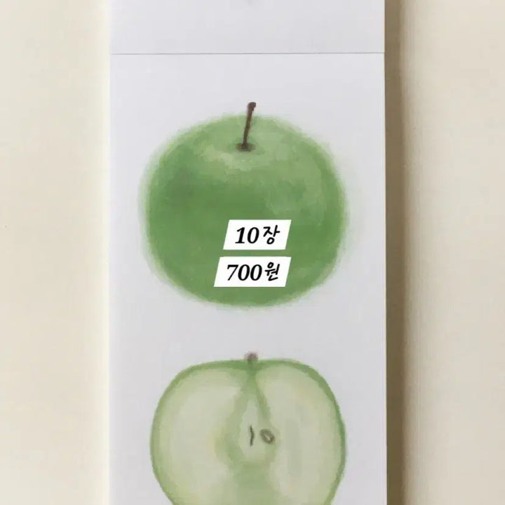 [BUNJANG] Hippie Bear Sticky Note (11 Types) / 11종) 히피베어 떡메모지