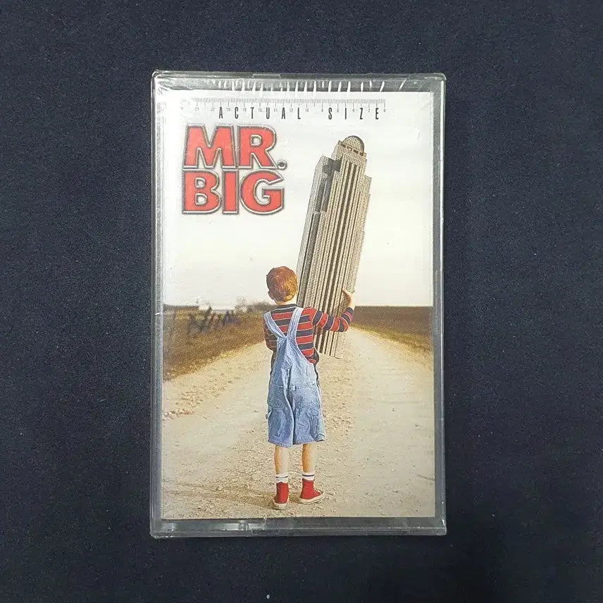 [SOLD OUT] 미개봉.미스터빅(Mr Big)Actual Size 카세트 테이프