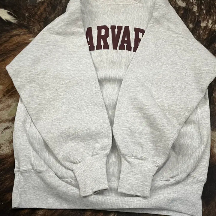 [BUNJANG] Champion Reverse Weave Sweatshirt (3XL) / 90s 챔피온 리버스위브 스웻셔츠 맨투맨 (3XL)