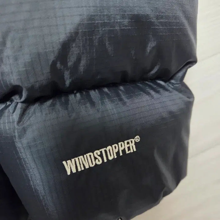 [BUNJANG] The North Face 700 Summit Dryloft Padded Jacket / [90,착용사진] 노스페이스 700 써밋 드라이로프트 패딩