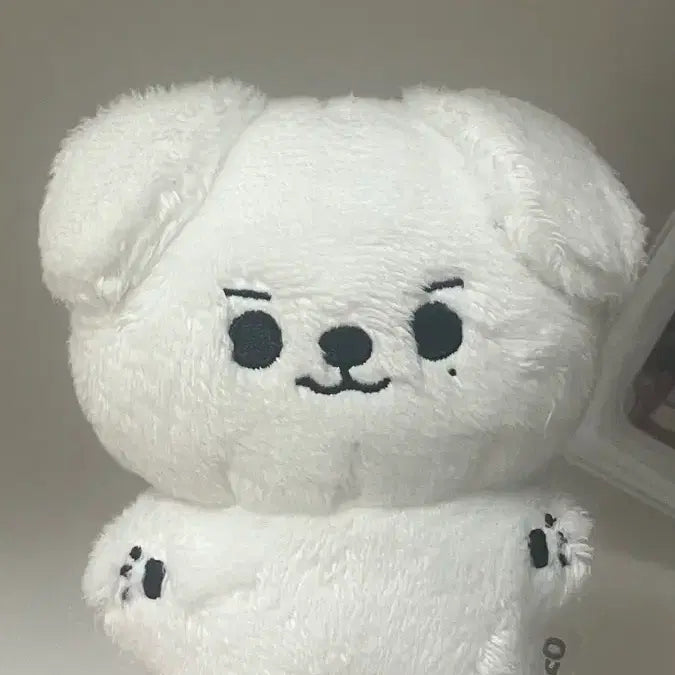 [BUNJANG] The Boyz Sunwoo Etti Doll / 급처) 더보이즈 손영재 에띠 판매합니다