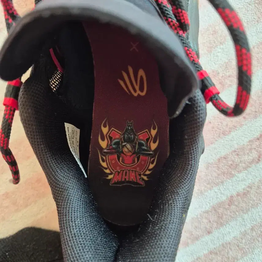 [BUNJANG] Under Armour Curry 13 AP Shoes 270 / 언더아머 커리13 ap 270 팝니다 급처 교신가능