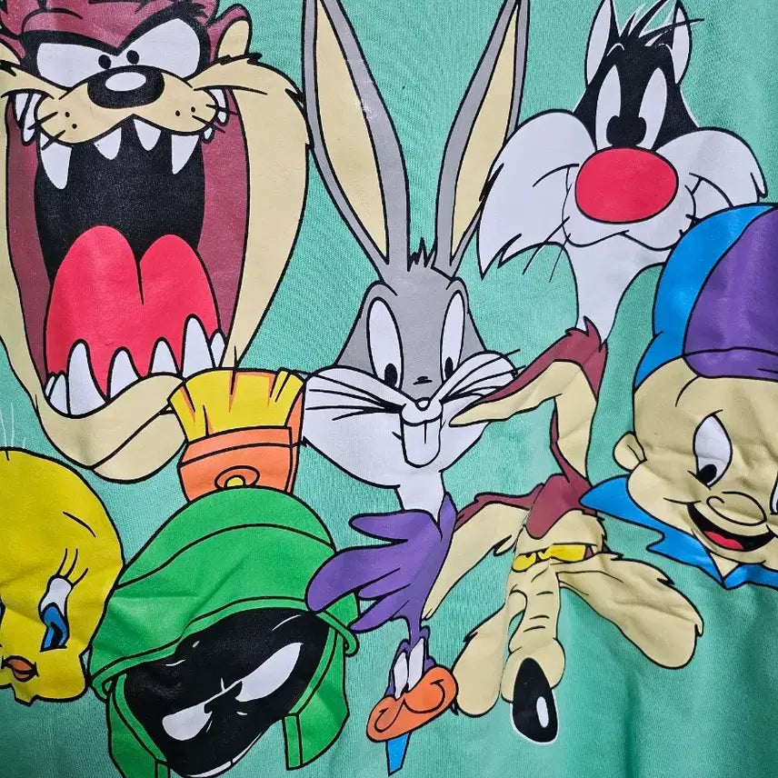 [BUNJANG] Looney Tunes Color Block Sweatshirt / 빅사이즈 루니툰 컬러블록 맨투맨 새상품
