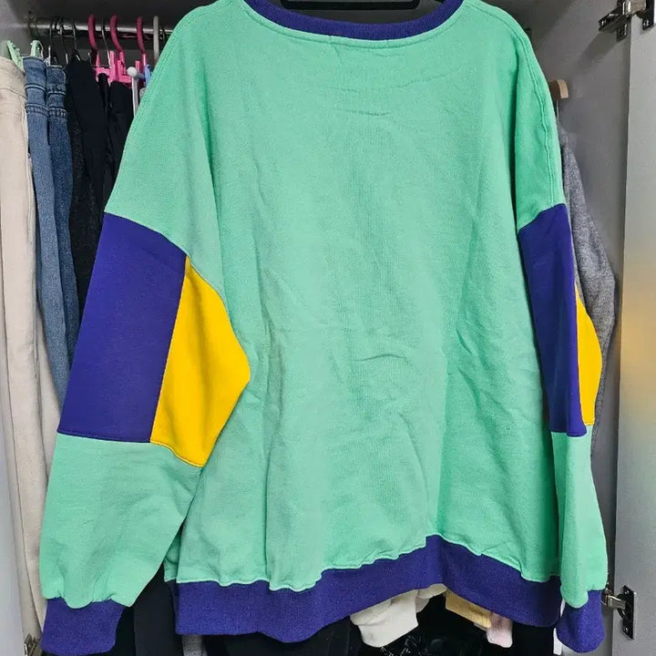 [BUNJANG] Looney Tunes Color Block Sweatshirt / 빅사이즈 루니툰 컬러블록 맨투맨 새상품