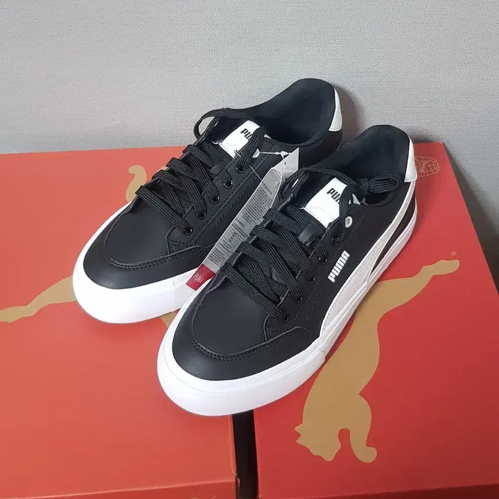 [BUNJANG] Puma Sneakers (255, 260) / [새상품] 푸마 운동화 (255,260)