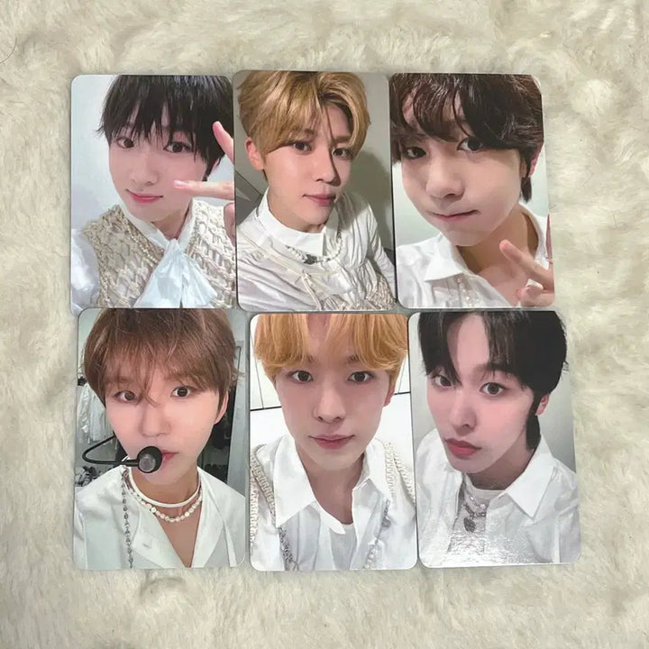 [SOLD OUT] 엔시티 위시 헬로라이브 헬라 미공포 포카 리쿠 유우시 시온 사쿠야
