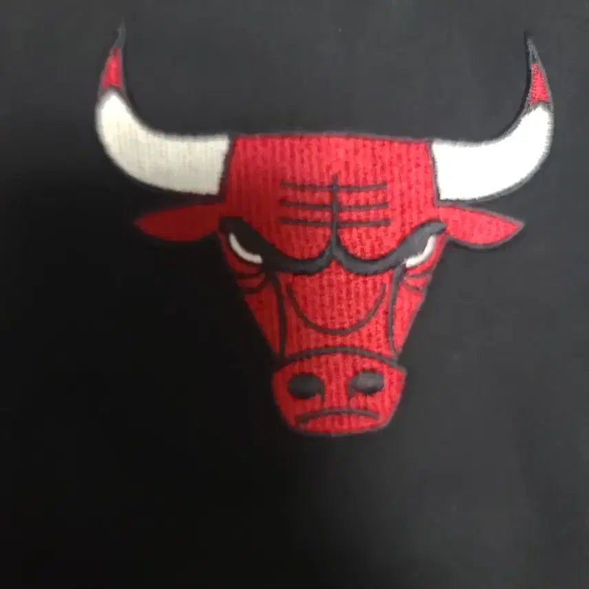 [BUNJANG] NBA Chicago Bulls Coach Jacket L / NBA 시카고 불스 코치 자켓 L