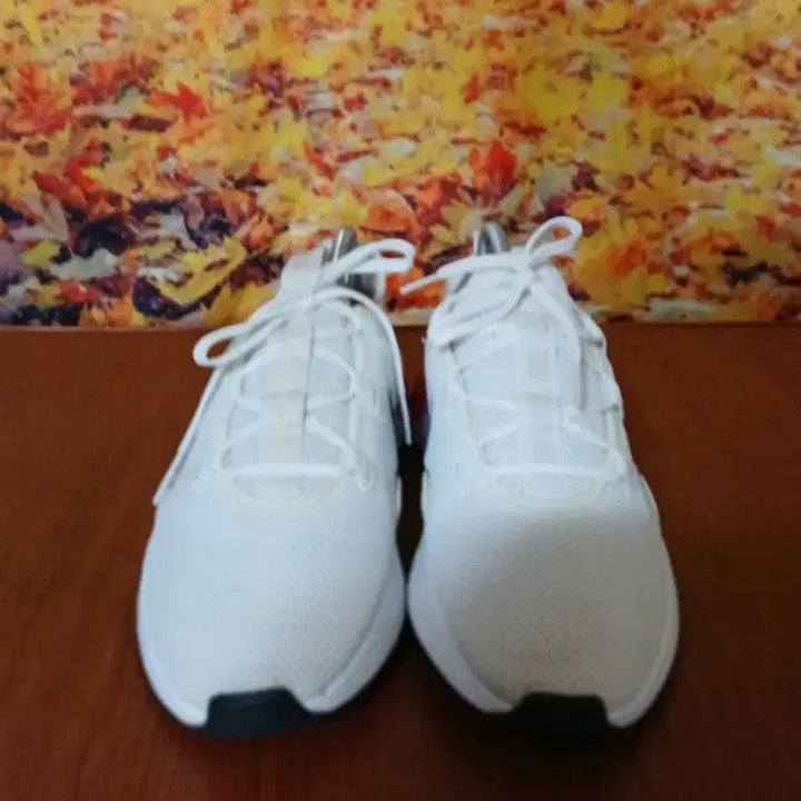 [SOLD OUT] 나이키 여성 핑크 런닝화 240