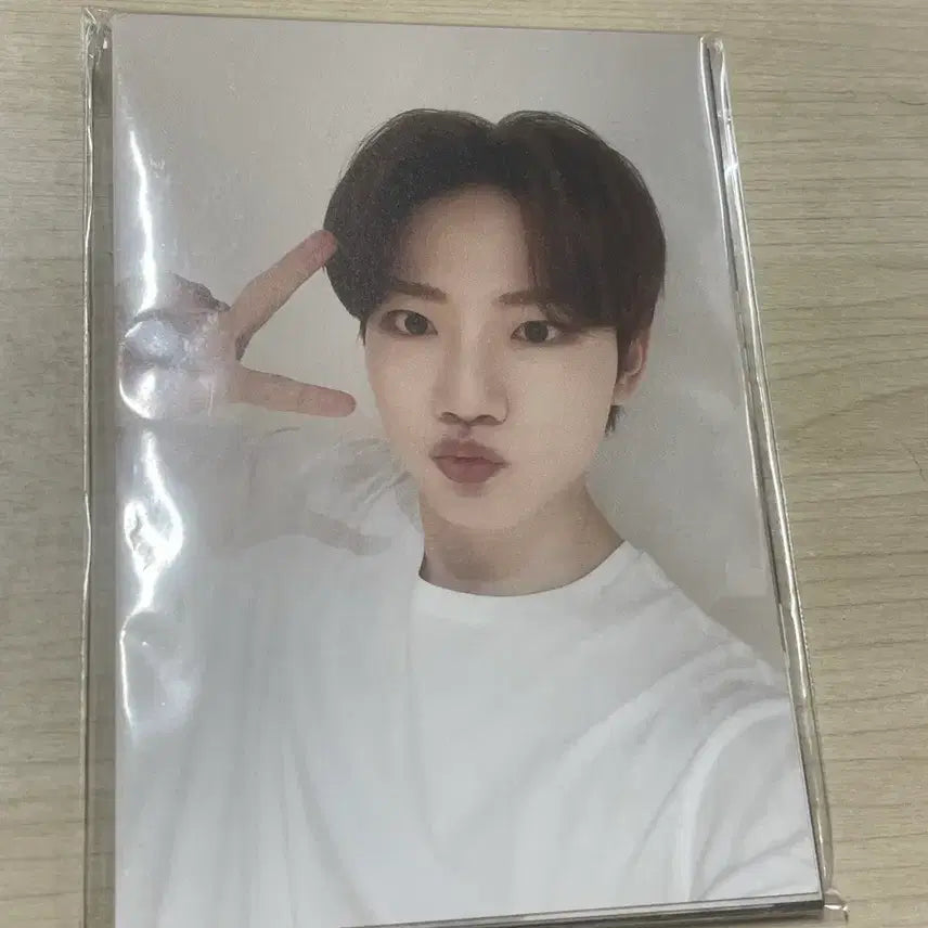 트레이스 트레저 엽서 일괄 판매