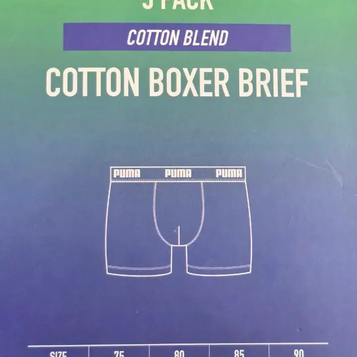 [BUNJANG] Puma Junior Brief 6-Pack Set / [새상품]푸마 주니어 아동 브리프 팬티 6매 세트 13~14세