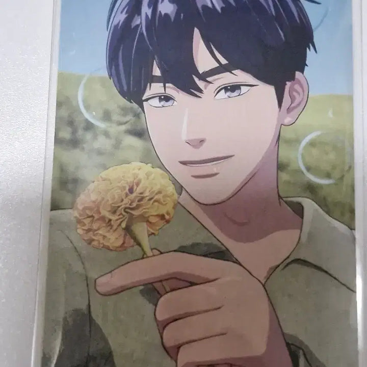 [BUNJANG] PLAVE Yejun Mediheal Photocard Bundle Set / 플레이브 예준 메디힐 빼빼로