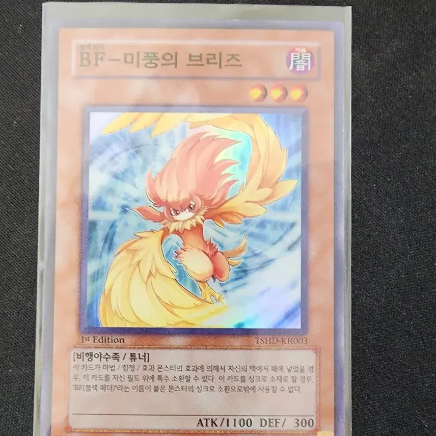 [BUNJANG] Bichnaneun Eodum BF Breeze Secret Rare Card / 빛나는 어둠 1st (A급)BF-미풍의 브리즈 슈레 2장 팝니다.