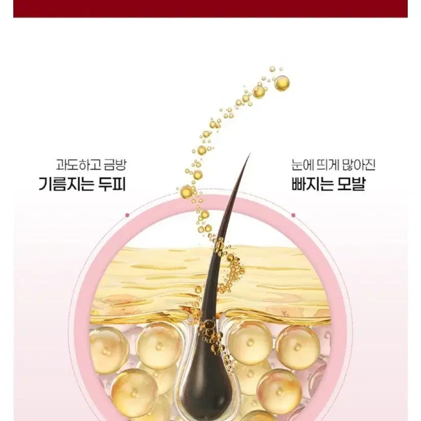[BUNJANG] Paul Medison Stem Cell Biotin Ampoule 30ml / 새상품 (폴메디슨) 헤어테라피 두피케어 줄기세포 비오틴 앰플 30ml