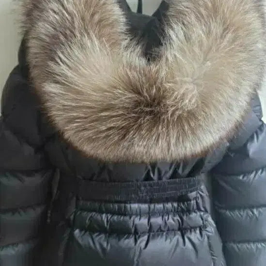 [BUNJANG] BOED Short Black Padded Jacket / BOED 숏블랙