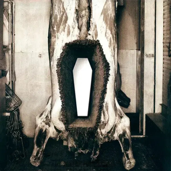 [BUNJANG] Metallica Death Magnetic 5LP Box Set / 메탈리카 <Death Magnetic> 5LP 미개봉 박스반