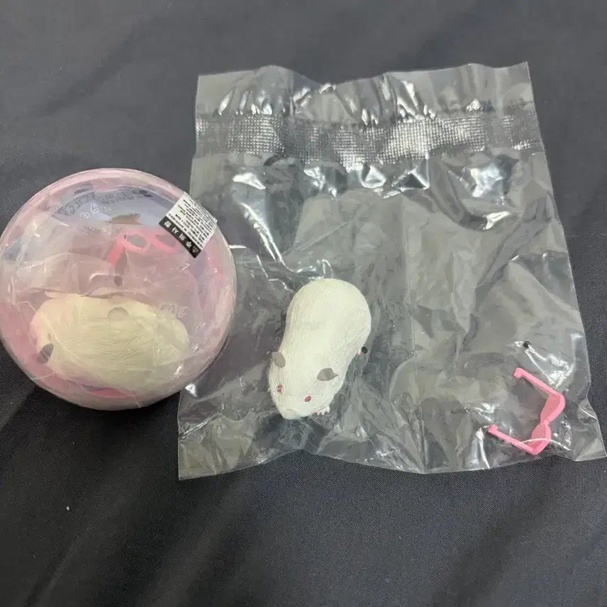 [BUNJANG] Guinea Pig Gacha / 기니피그 가챠