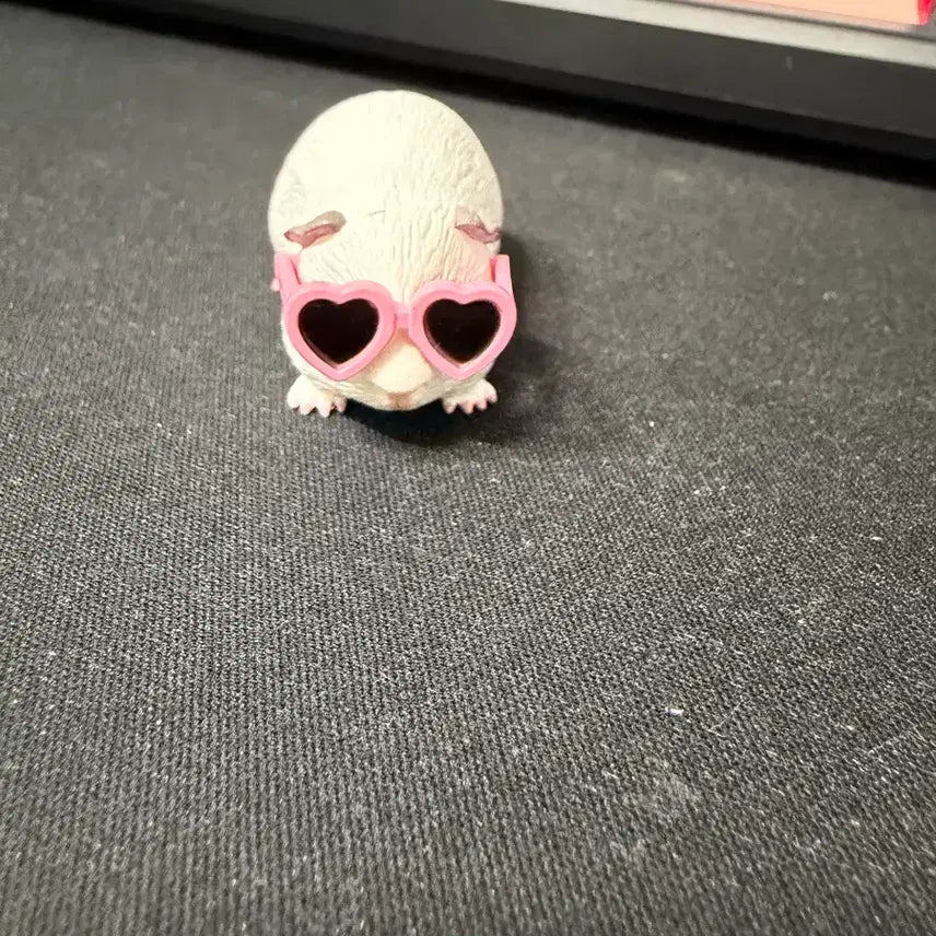 [BUNJANG] Guinea Pig Gacha / 기니피그 가챠