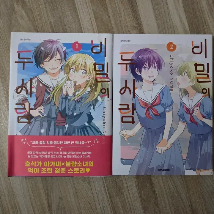[BUNJANG] Bimui Du Saram Volumes 1-2 Bundle Set / 비밀의 두 사람 1~2