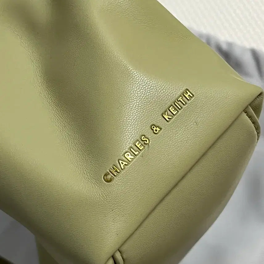 [BUNJANG] Charles & Keith Pleated Hobo Bag / [택포] 찰스앤키스 플리츠 호보백 CK2-10151077
