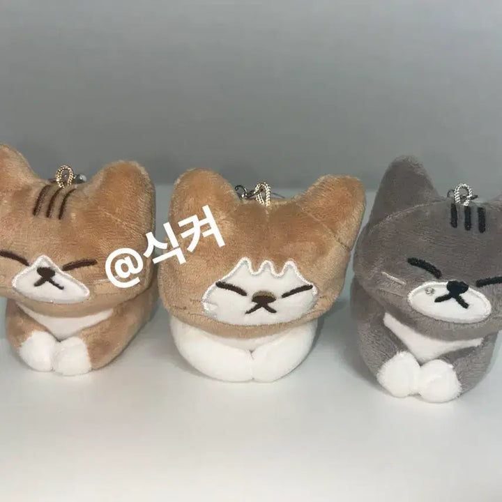 [BUNJANG] Enhypen Bundle Set / 순둥도리 일괄양도